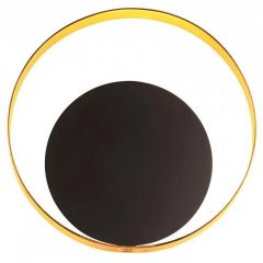 Накладной светильник Odeon Light Mondy 3899/7WB | фото 3