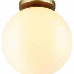 Накладной светильник Odeon Light Bosco 4248/1C | фото 3