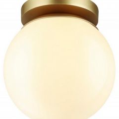 Накладной светильник Odeon Light Bosco 4247/1C | фото 3