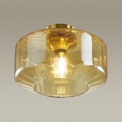 Накладной светильник Odeon Light Binga 4747/1C | фото 2