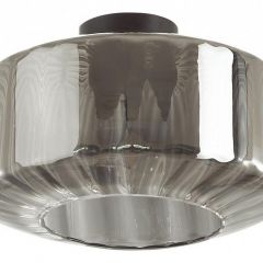 Накладной светильник Odeon Light Binga 4746/1C | фото 2
