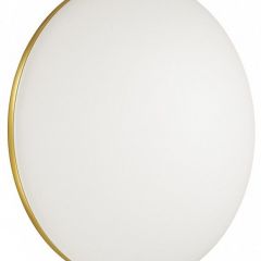 Накладной светильник Sonex Lassa 3043/DL | фото 4