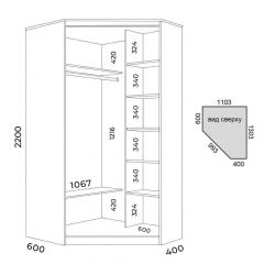 Шкаф-купе ХИТ-У-L-22-64-15 | фото 2