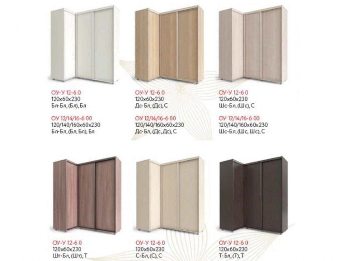 Шкаф-купе "Удачный" угловой ОУ-У 12-6-0 (венге светлый) | фото 2