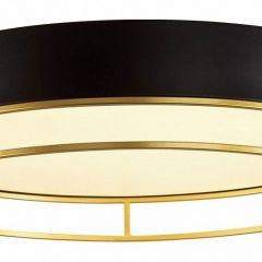 Накладной светильник Sonex Lofty 7723/65L | фото 4