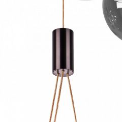 Подвесная люстра Lightstar Sferetta 801189 | фото 10